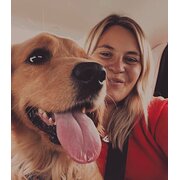 House Sitter - Friendly, reliable house and pet sitter