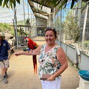 House Sitter - Karen 