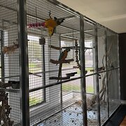 Home Owner wanting sitter in , Victoria