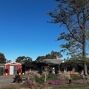 Home Owner wanting sitter in , South Australia