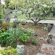 Home Owner wanting sitter in Canberra, Australian Capital Territory