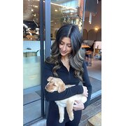 House Sitter - Reliable pet sitter! 