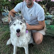 Home Owner wanting sitter in , New South Wales
