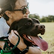 House Sitter - Quiet pet lover