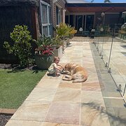 Home Owner wanting sitter in Geelong, Victoria