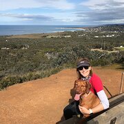 Home Owner wanting sitter in Geelong, Victoria