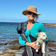 House Sitter - Julie Price