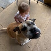 Home Owner wanting sitter in , Western Australia
