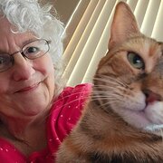 Home Owner wanting sitter in CAMPBELLTOWN ,SYDNEY NSW, New South Wales