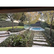 Home Owner wanting sitter in Wagga Wagga, New South Wales