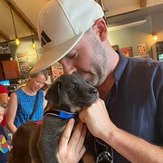 House Sitter - Certified Dog Trainer & House Sitter