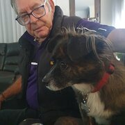 Home Owner wanting sitter in Perth, Western Australia