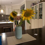 Home Owner wanting sitter in Brisbane, Queensland