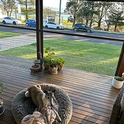 Home Owner wanting sitter in Shellharbour , New South Wales