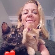 House Sitter - Peace of mind, home & pet care