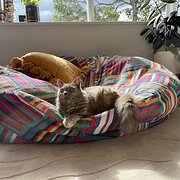 Home Owner wanting sitter in , Victoria