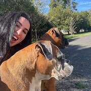 House Sitter - Animal lover/ respectful /hard working
