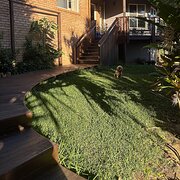 Home Owner wanting sitter in Brisbane , Queensland