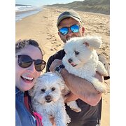 House Sitter - Tidy, Respectful Housesitting Couple