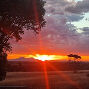 Home Owner wanting sitter in Jerramungup , Western Australia
