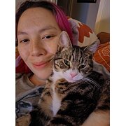 House Sitter - Felicia