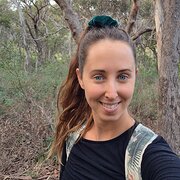 House Sitter - Solo house sitter/animal lover
