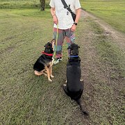 House Sitter - Trusted Pet Lovers & House Sitters