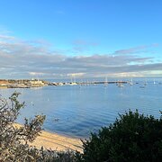 Home Owner wanting sitter in MORNINGTON, Victoria
