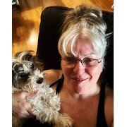 House Sitter - I ♥️ Dogs