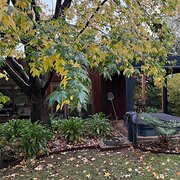 Home Owner wanting sitter in Melbourne , Victoria