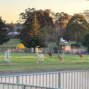 Home Owner wanting sitter in Busselton, Western Australia