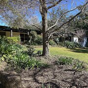 Home Owner wanting sitter in Taree or Newcastle, New South Wales
