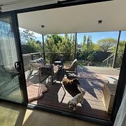 Home Owner wanting sitter in , Victoria