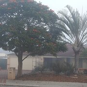 Home Owner wanting sitter in Midland/Perth, Western Australia