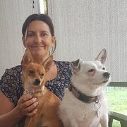 House Sitter - House & Pet Sitter