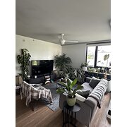 Home Owner wanting sitter in , Queensland
