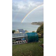 Home Owner wanting sitter in Hobart, Tasmania