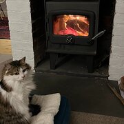 Home Owner wanting sitter in , Victoria