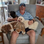 House Sitter - Ray 