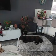Home Owner wanting sitter in , New South Wales