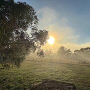 Home Owner wanting sitter in Ballarat, Victoria