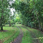Home Owner wanting sitter in Cairns, Queensland