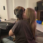 House Sitter - Reliable & Caring House and Pet Sitter