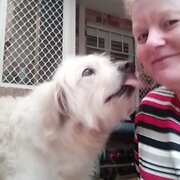 House Sitter - House, pet and plant sitter