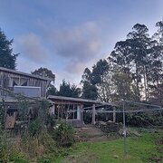Home Owner wanting sitter in Devonport, Tasmania