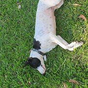 Home Owner wanting sitter in Darwin , Northern Territory