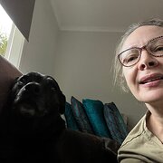 House Sitter - Animal lover & responsible house sitter