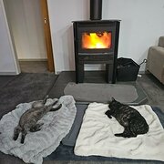 Home Owner wanting sitter in , Western Australia
