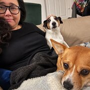 House Sitter - Phoebe, Kiki and Pudge