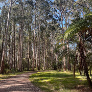 Home Owner wanting sitter in , Victoria